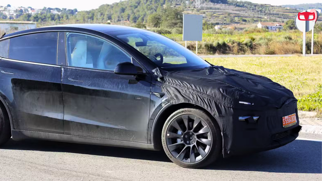 Model Y juniper profilo anteriore
