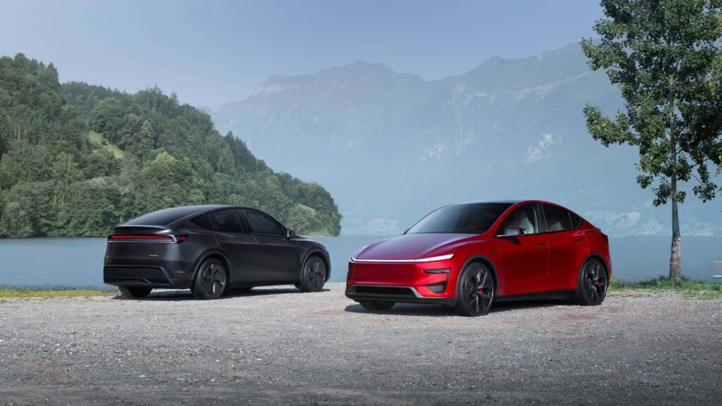 Model Y Performance