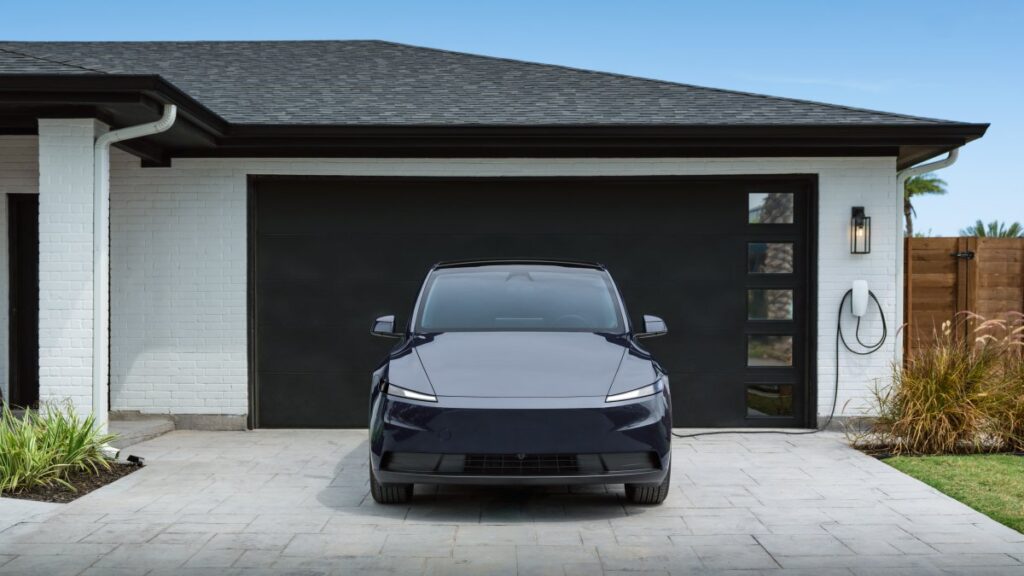 Model Y standard
