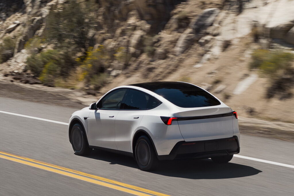 Model Y standard