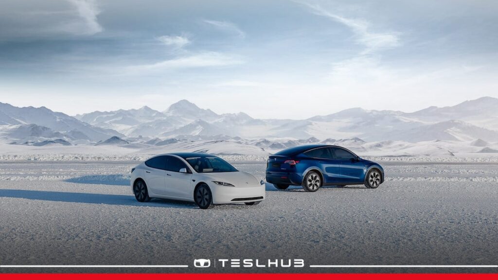 Tesla in inverno: Model 3 e Model Y sulla neve